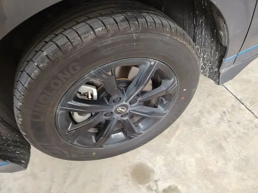 BYD e2 2021 2020 Upgraded Long Range Luxury
