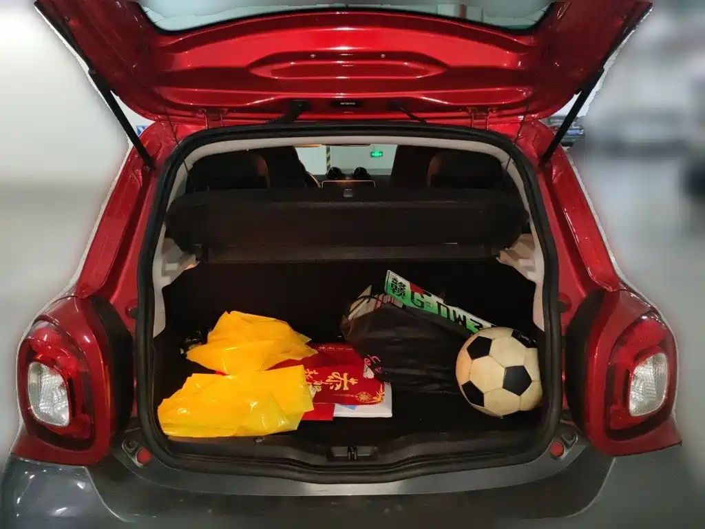Фото 10 - smart forfour