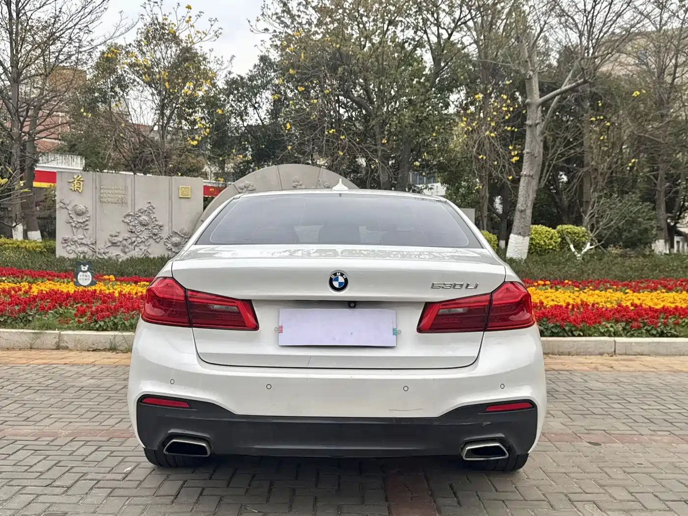 BMW 5 Series 2018 530Li Leading M Sport Package фото 8