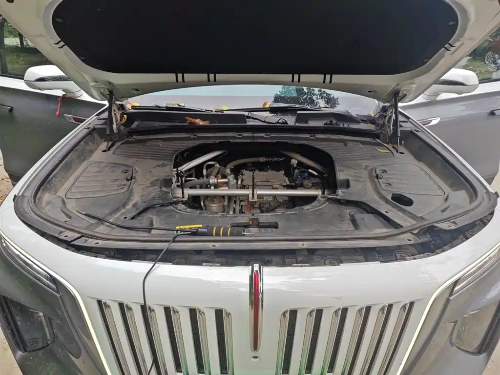Hongqi E-HS9 2021 510km Flagship Edition 4-seater фото 11
