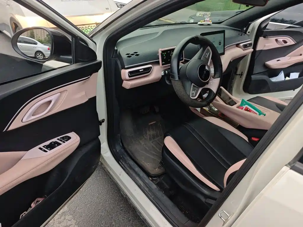 BYD Seagull 2026 2025 Smart Drive Edition 305km Vitality Version