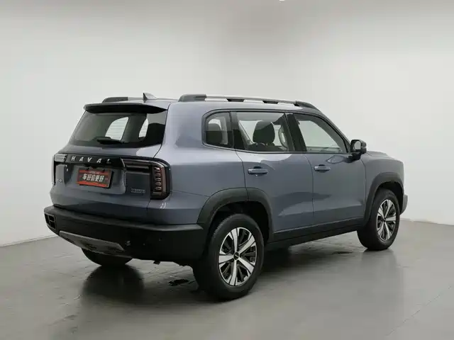 Haval Big Dog 2022 1.5T DCT FWD Labrador Edition — фото 2
