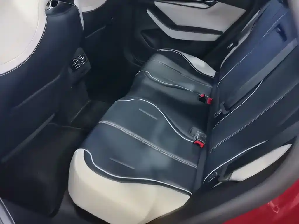 BYD Qin PLUS 2021 2021 Model EV 600KM Flagship