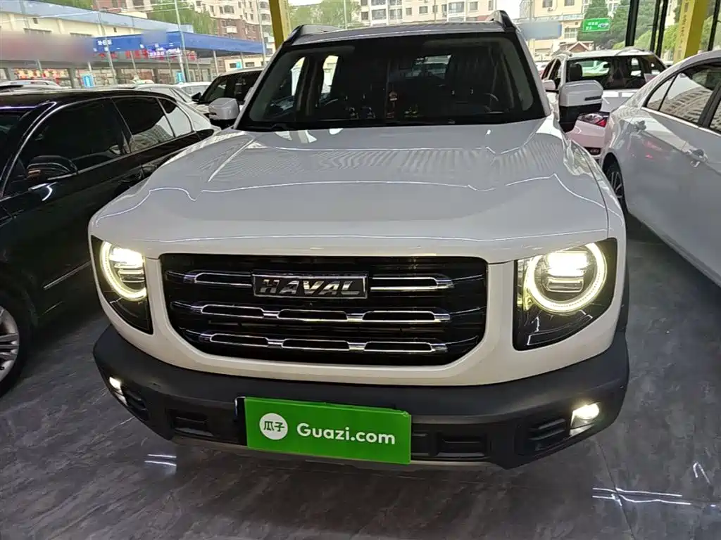 Haval Big Dog 2021 1.5T DCT 2WD Labrador Edition фото 3