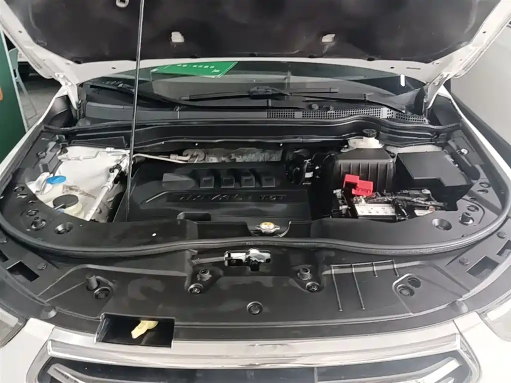 Haval H6 2018 Blue Label Sport 1.5T Automatic 2WD Elite фото 20
