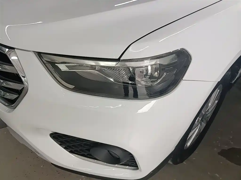 Haval H6 2018 Blue Label Sport 1.5T Automatic 2WD Elite фото 24