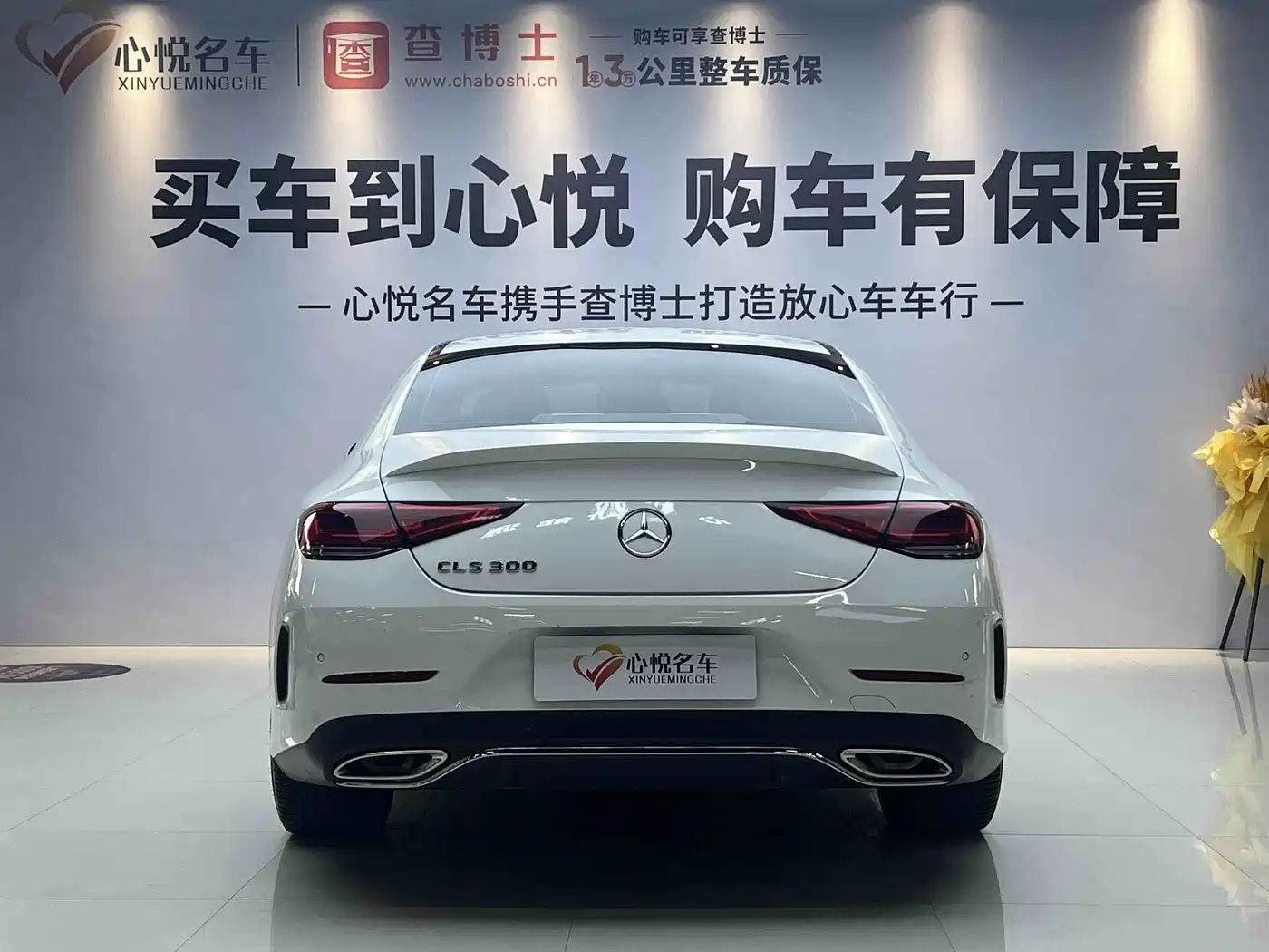 Mercedes-Benz CLS 2022 CLS 300 Luxury фото 13