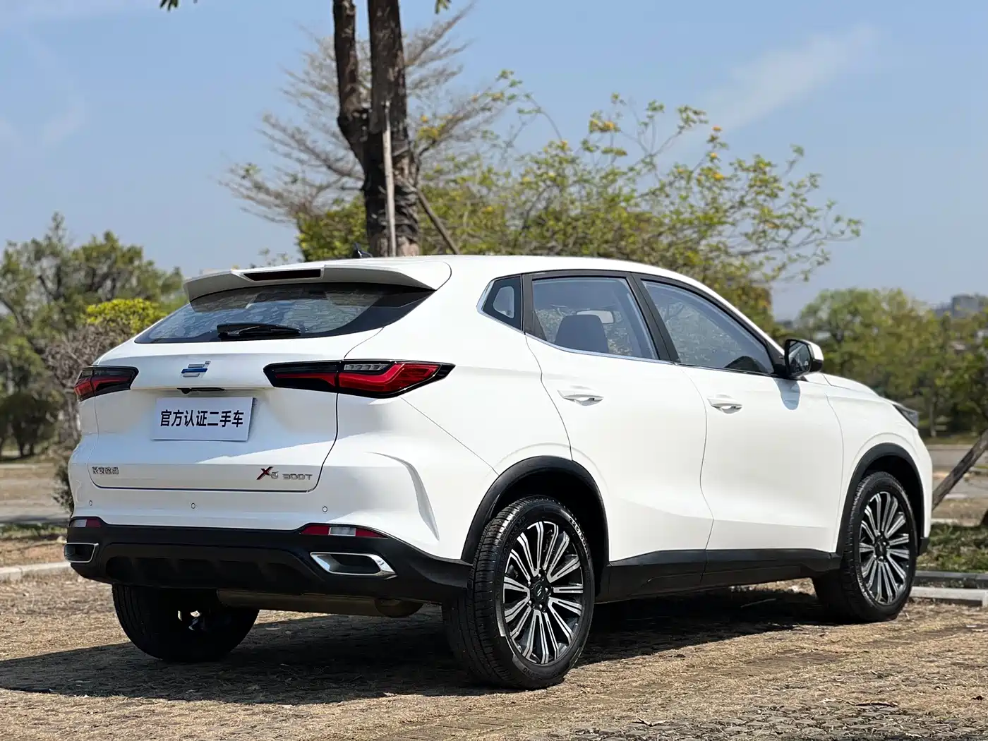 Фото 7 - Changan Oshan Changan Oushang X5