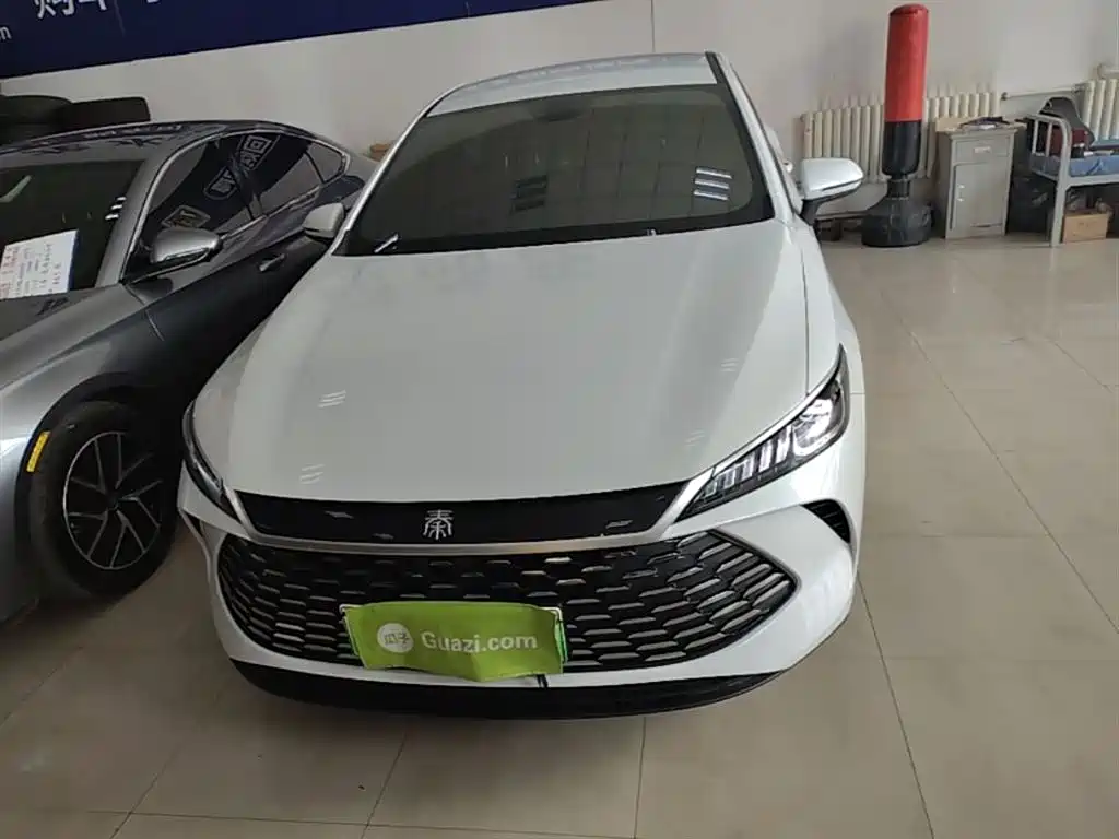 BYD Qin PLUS 2025 DM-i Smart Drive 55KM Leader фото 3