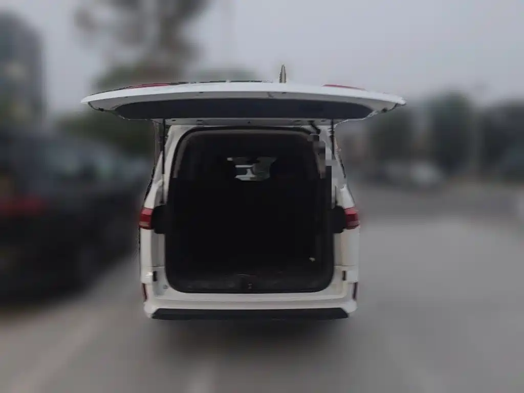 BAW Ruisheng Ace M7 2023 2023 2.0L Long Wheelbase Executive 7-Seater