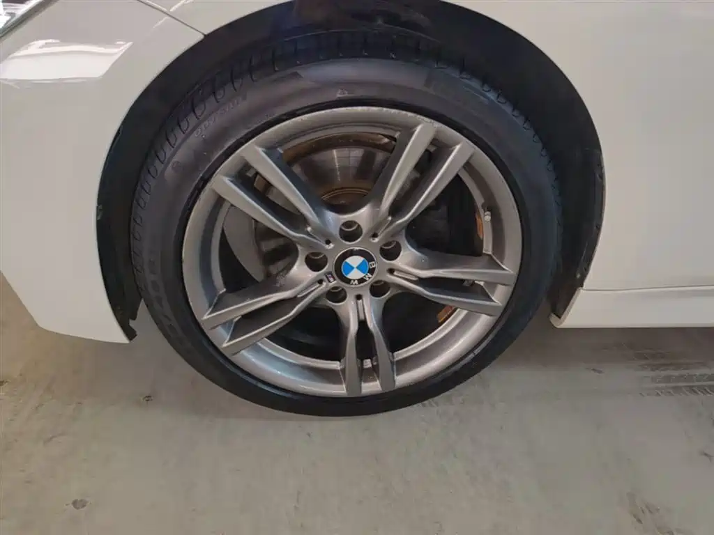 BMW 3 Series 2019 320Li M Sport Black Night Edition фото 23