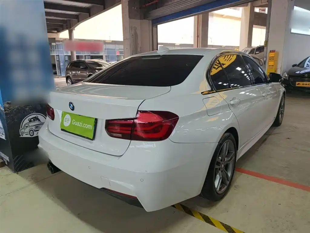 BMW 3 Series 2019 320Li M Sport Black Night Edition фото 7