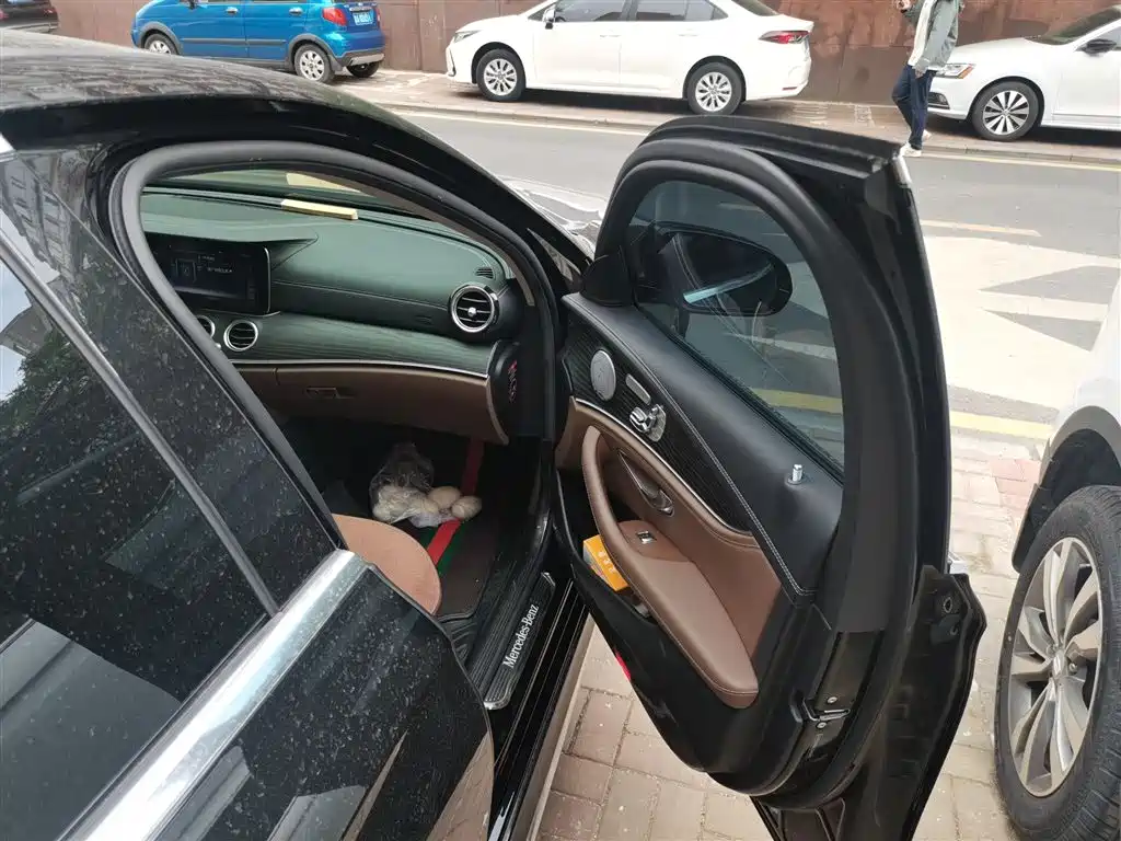 Mercedes-Benz E-Class 2020 Facelift E 300 L Sport Exclusive фото 22