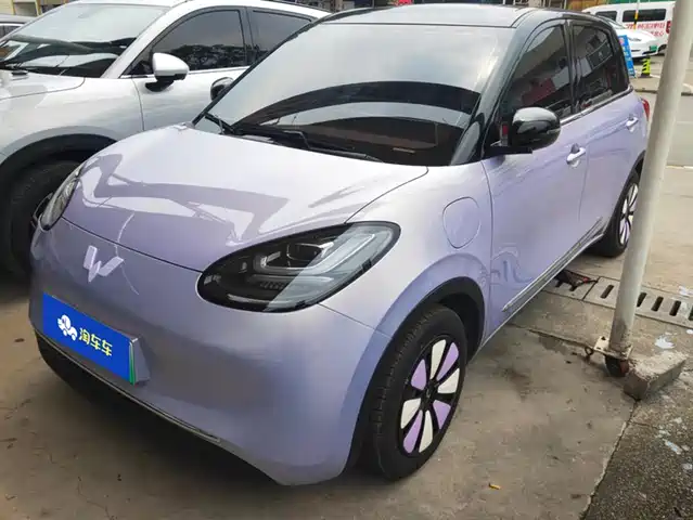 WULING WULING BINGGUO