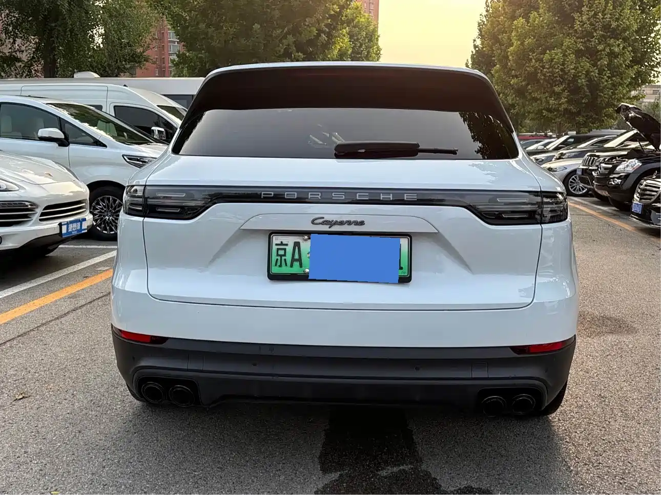 Porsche Cayenne New Energy 2023 2023 Cayenne E-Hybrid 2.0T Platinum Edition