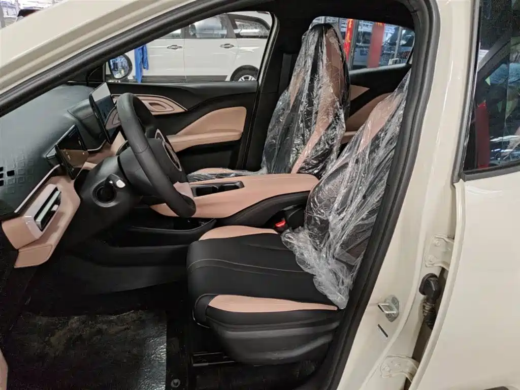BYD Seagull 2025 Smart Drive Edition 305km Vitality Version фото 15