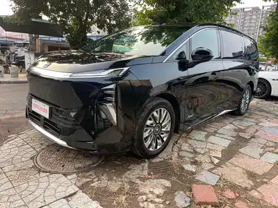 Buick Electra Encasa