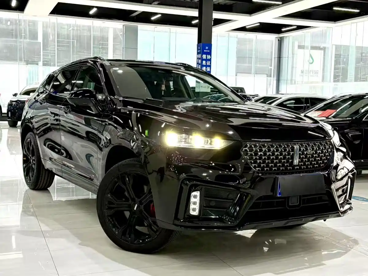 WEI PAI WEI BRAND VV7