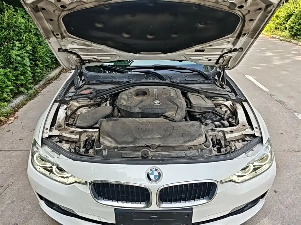 BMW 3 Series 2017 320Li Fashion фото 20