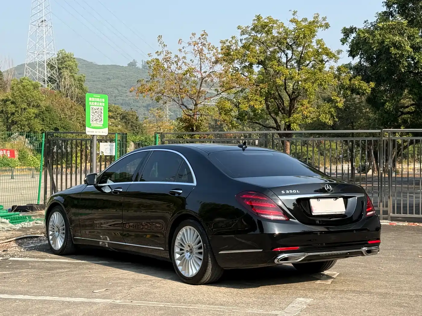 Mercedes-Benz S-Class 2020 S 350 L Business Edition Collector's Version фото 13