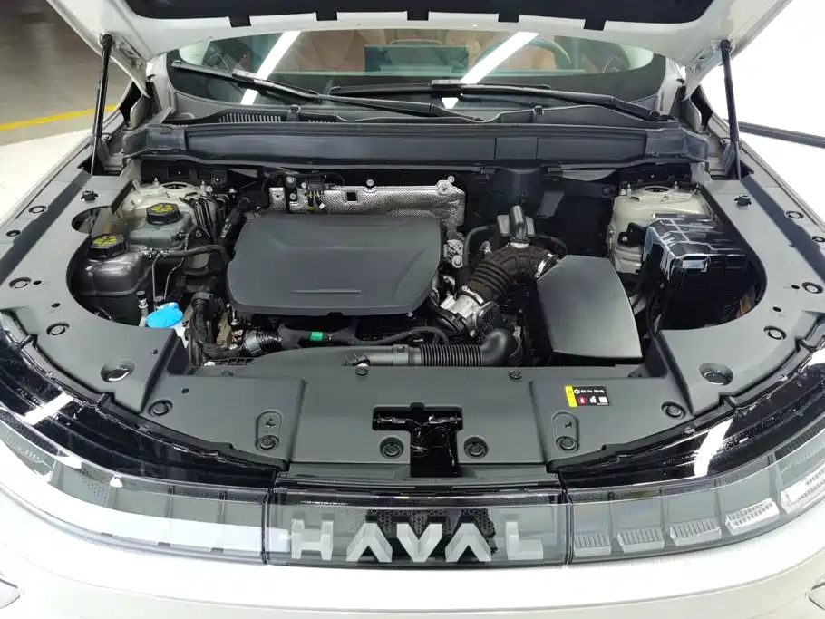 Photo 10 - Haval Xiaolong MAX