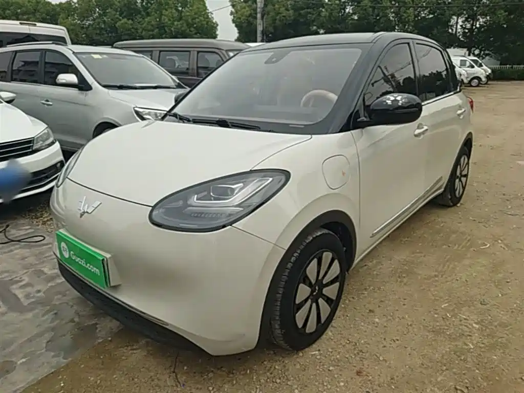 Wuling Motors Wuling Bingo 2023 333km Joyful Version