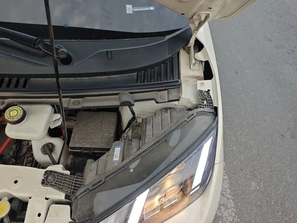 BYD Seagull 2026 2025 Smart Drive Edition 305km Vitality Version