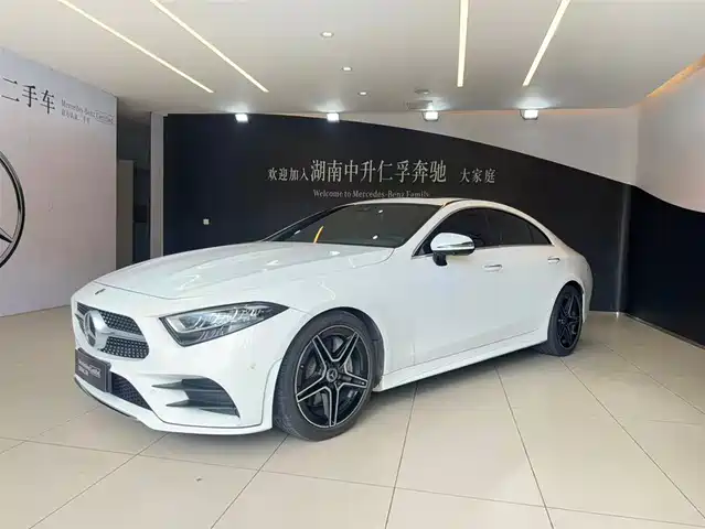 Mercedes-Benz CLS 2021 CLS 300 Luxury — фото 2