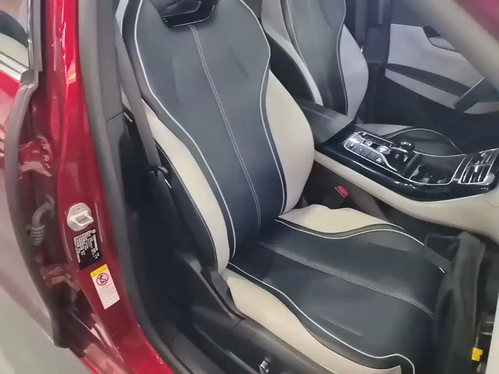 BYD Qin PLUS 2021 2021 Model EV 600KM Flagship