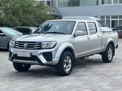 Dongfeng Rich