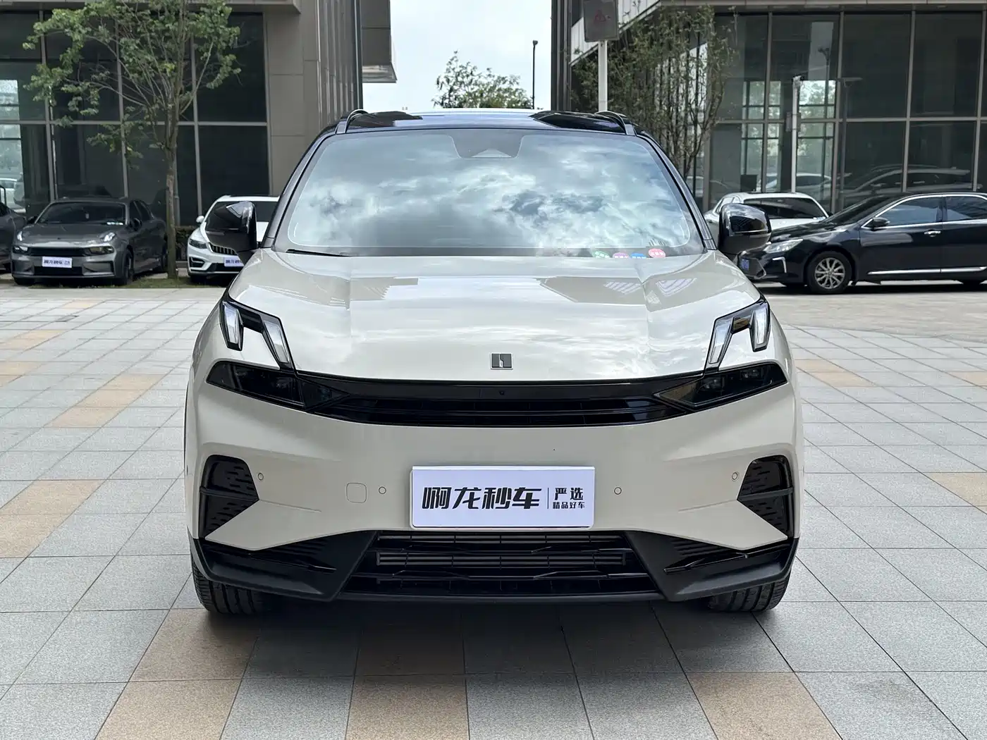 LYNK 06