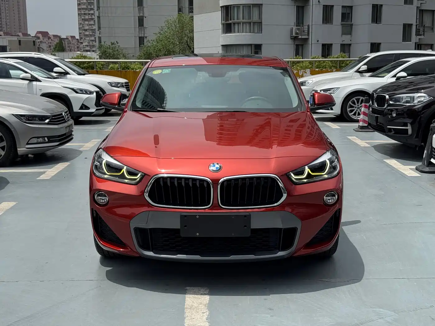 BMW X2 (Import) 2018 sDrive25i Leading M Off-road Package China V
