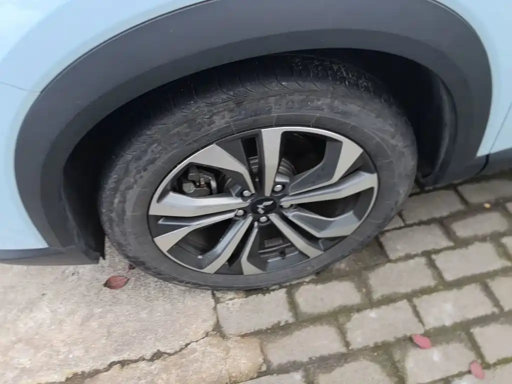 Wuling Motors Wuling Xingchen 2024 2022 2.0L DHT Electric Speed Edition
