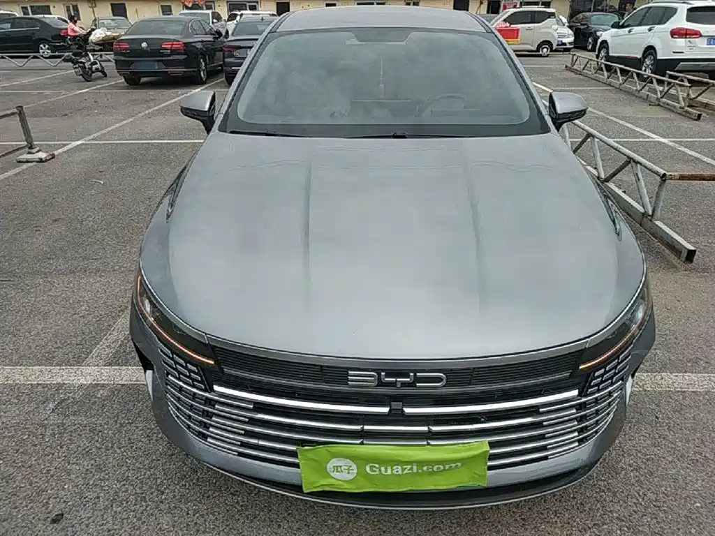 BYD Destroyer 05 2024 Glory Edition DM-i 55KM Luxury фото 3