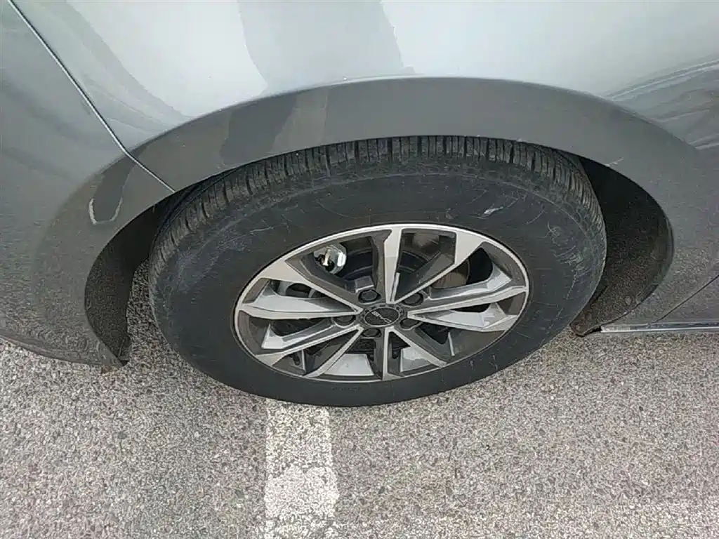 BYD Destroyer 05 2024 Glory Edition DM-i 55KM Luxury фото 23