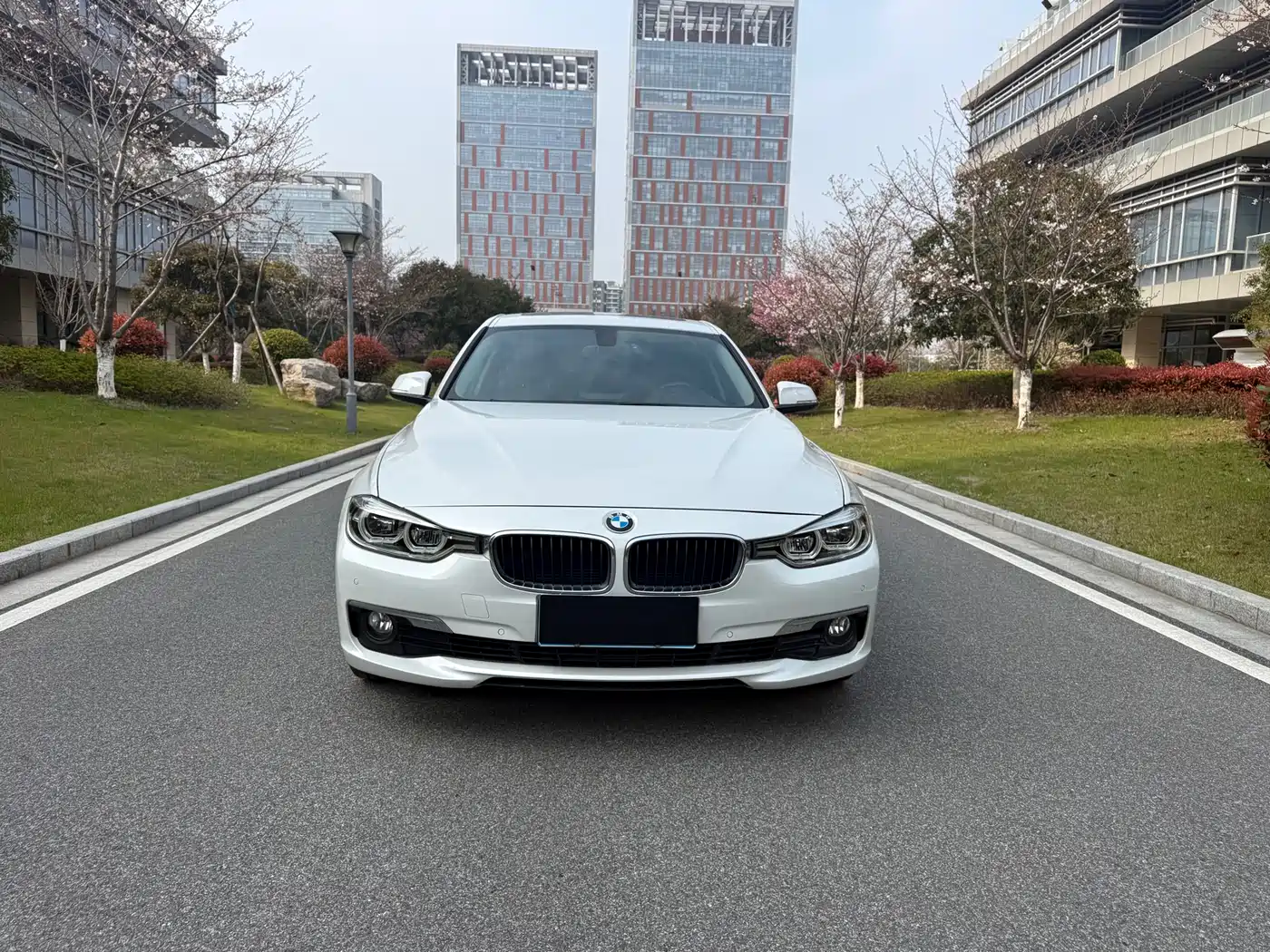 BMW 3 Series 2016 320Li Fashion Model фото 2