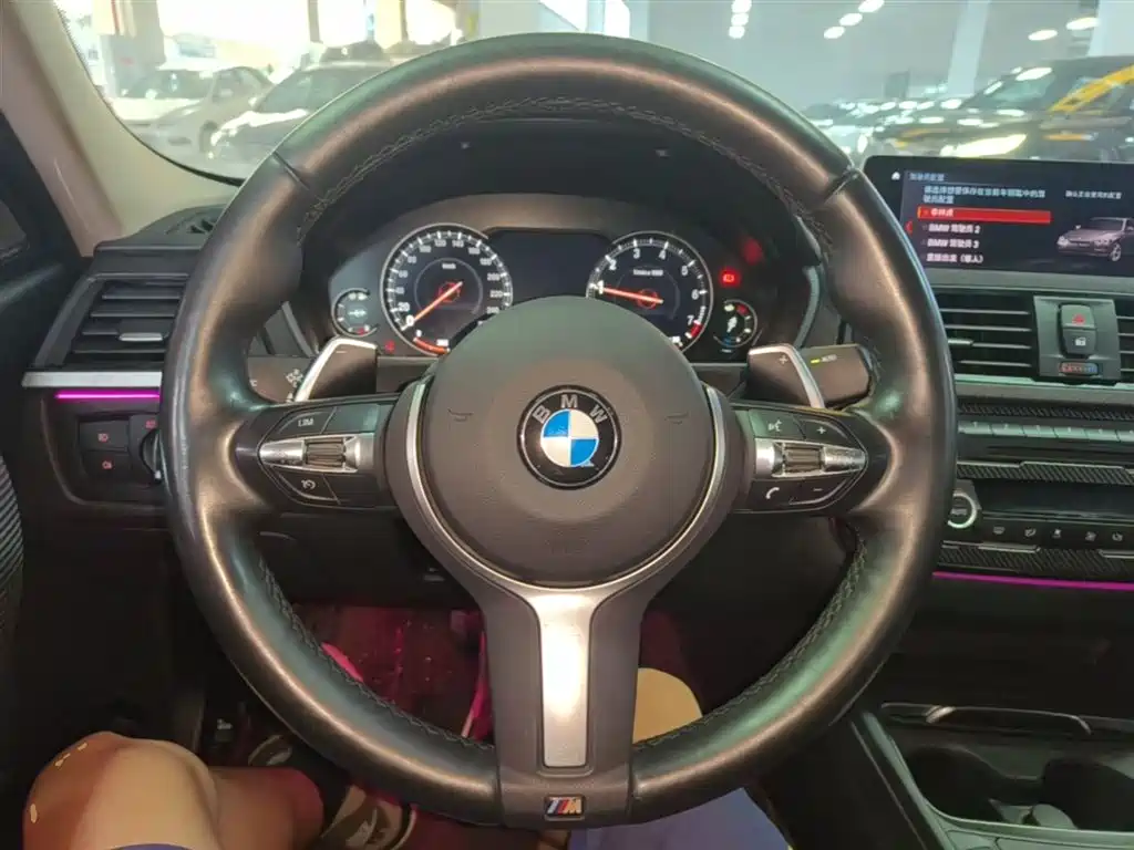 BMW 3 Series 2019 320Li M Sport Black Night Edition фото 11