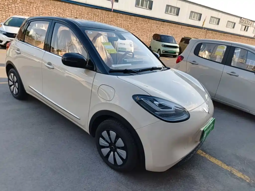 Wuling Motors Wuling Bingo 2026 2025 Model 333km Joy Edition