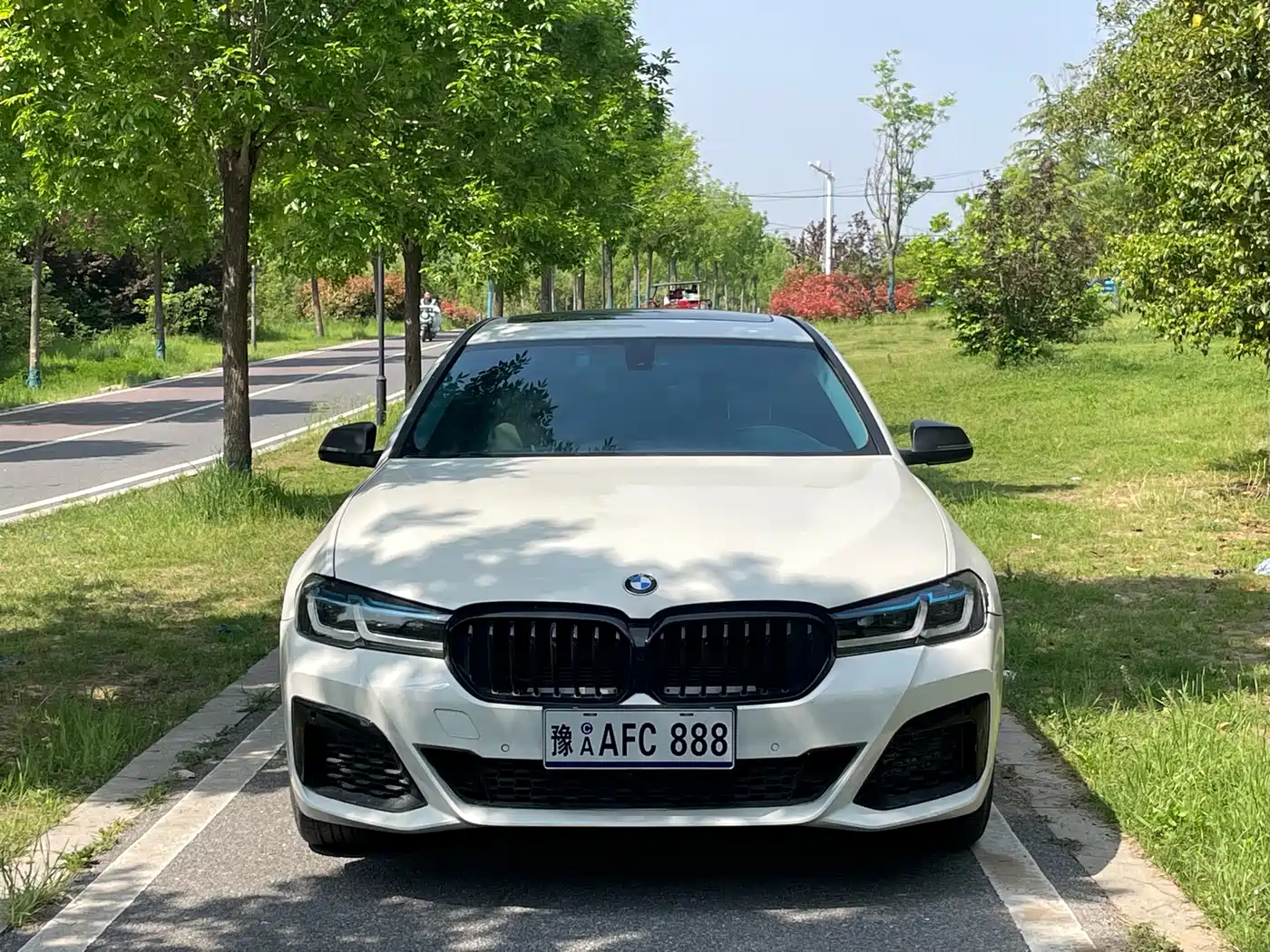 BMW 5 Series 2013 520Li Elegance фото 2