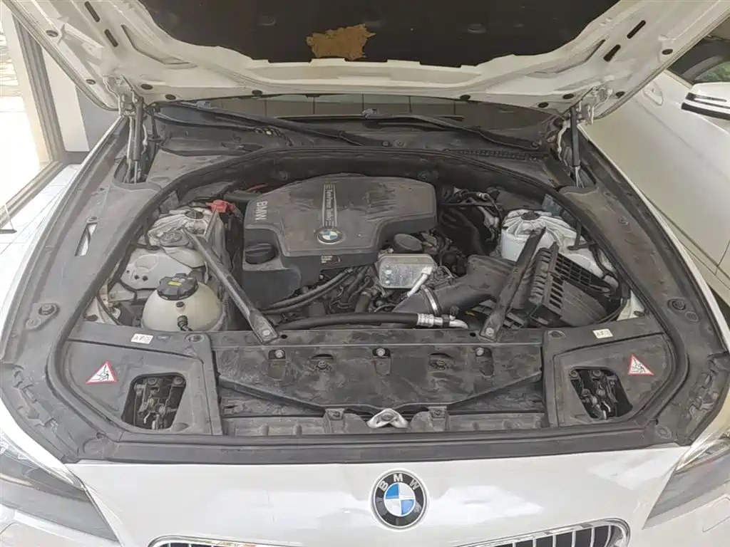 BMW 5 Series 2014 525Li Leading фото 20