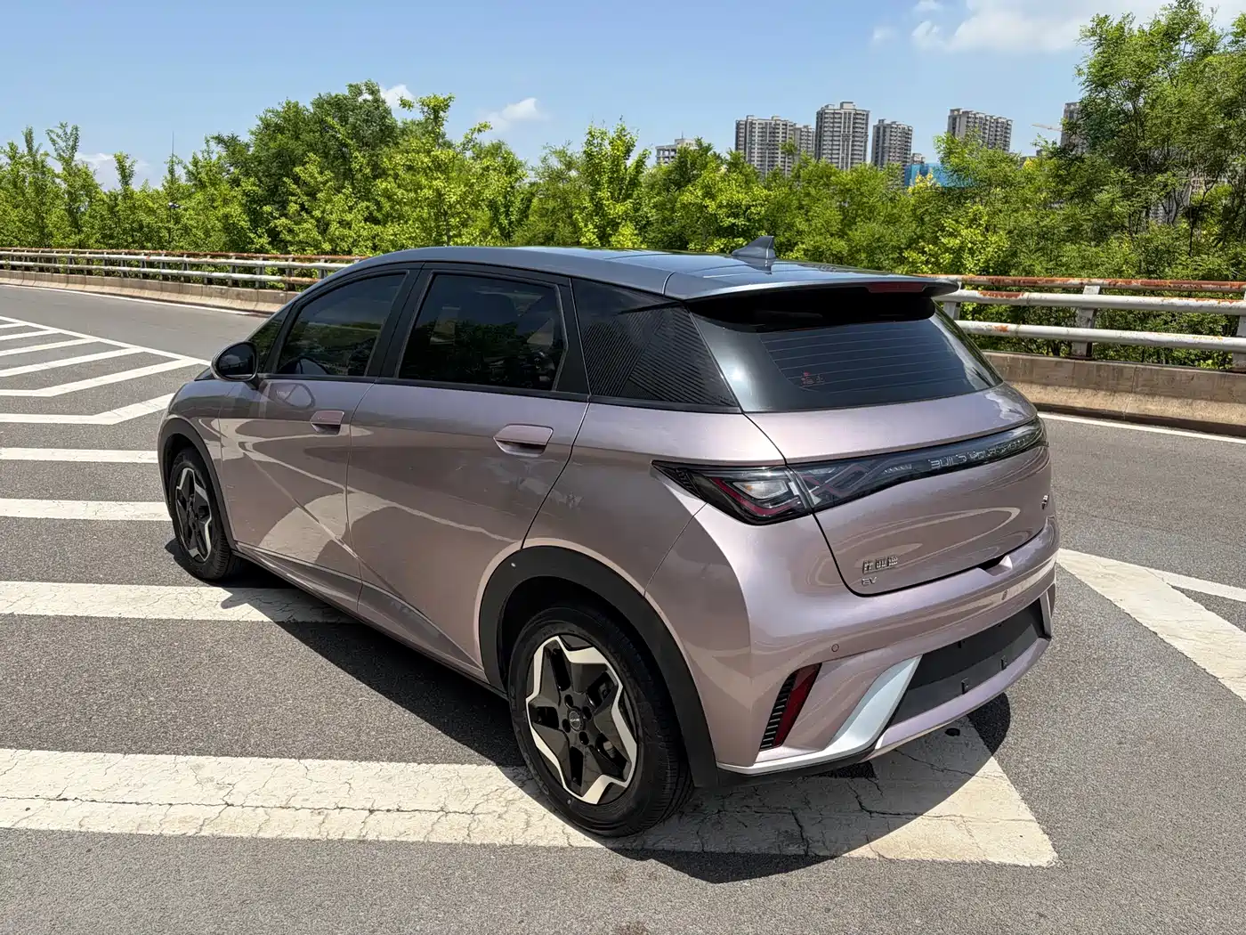 BYD Dolphin 2021 Model 405km Fashion Edition фото 7