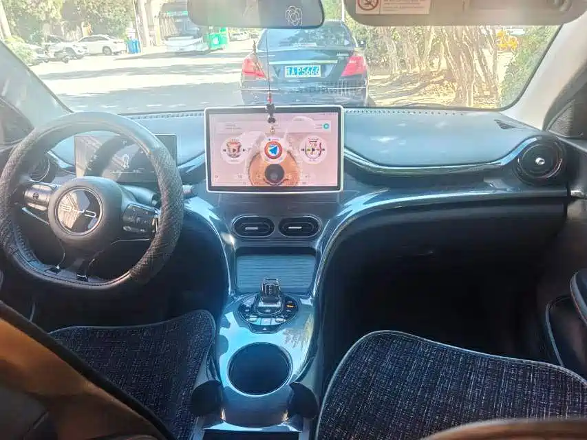 BYD e2 2024 2024 Honor Edition Luxury