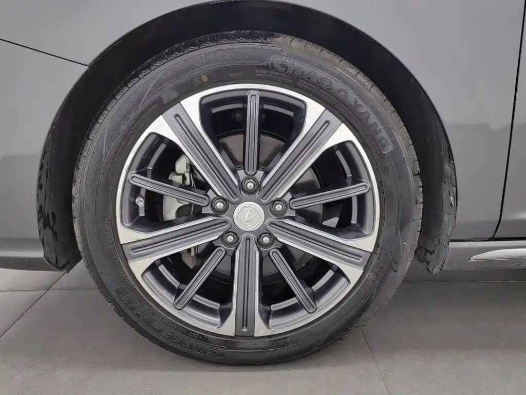 Changan Ruicheng CC 2021 2022 Blue Whale Edition 1.5T DCT Luxury