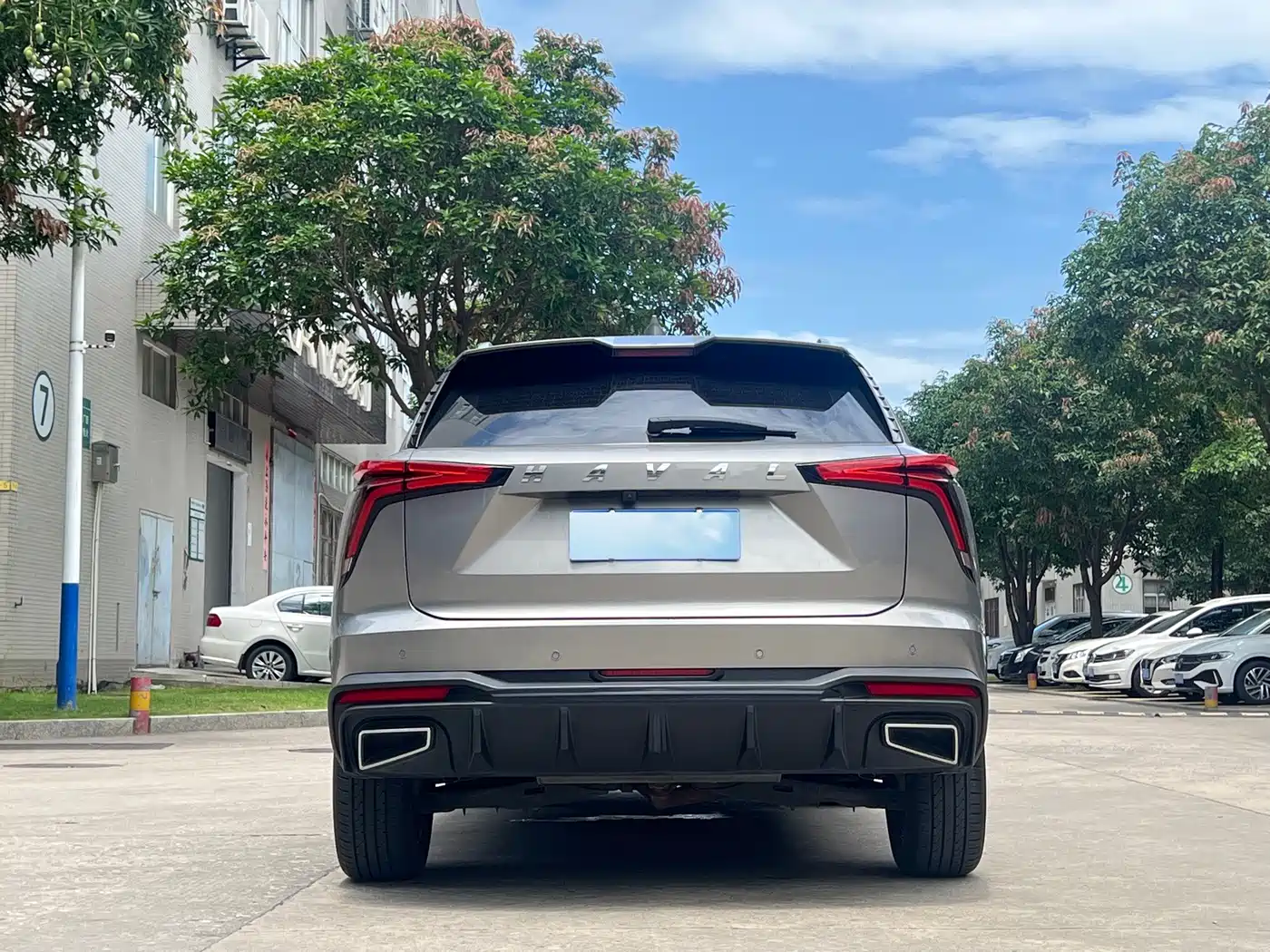 Haval Shenshou 2022 2022 1.5T Smart Leader Edition