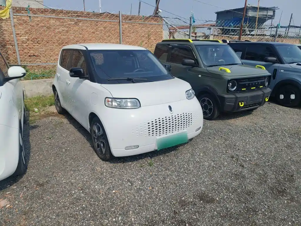 Ora White Cat 2021 2020 401km Flagship Model
