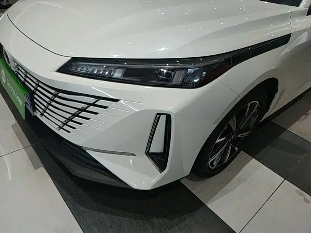 Photo 24 - Changan Eado