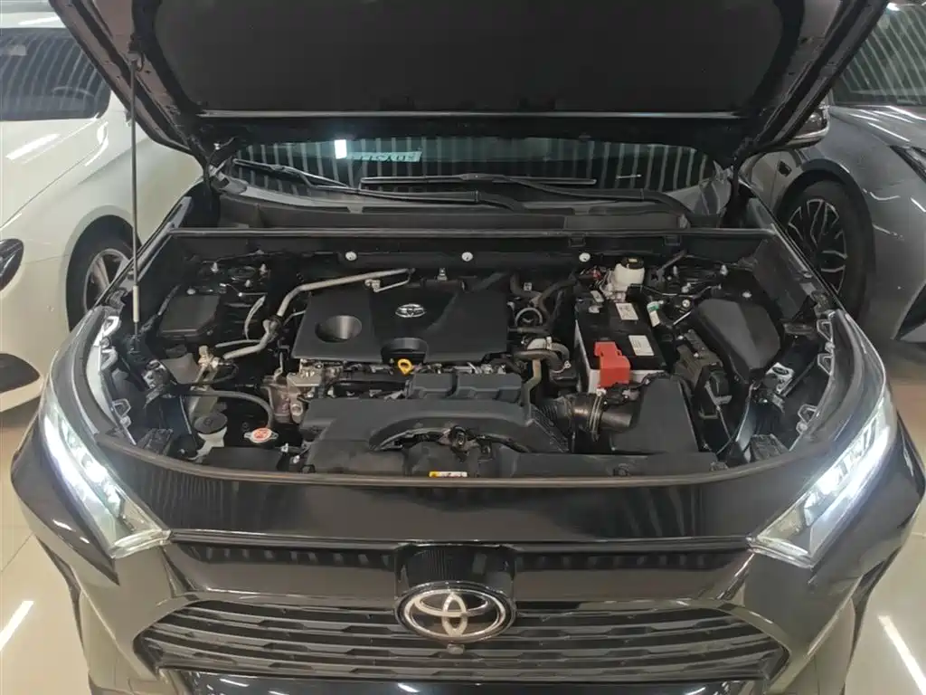 Toyota RAV4 Rongfang 2022 2.0L CVT 2WD Trend Plus Edition фото 20