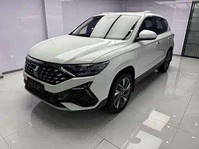 Jetta VS5