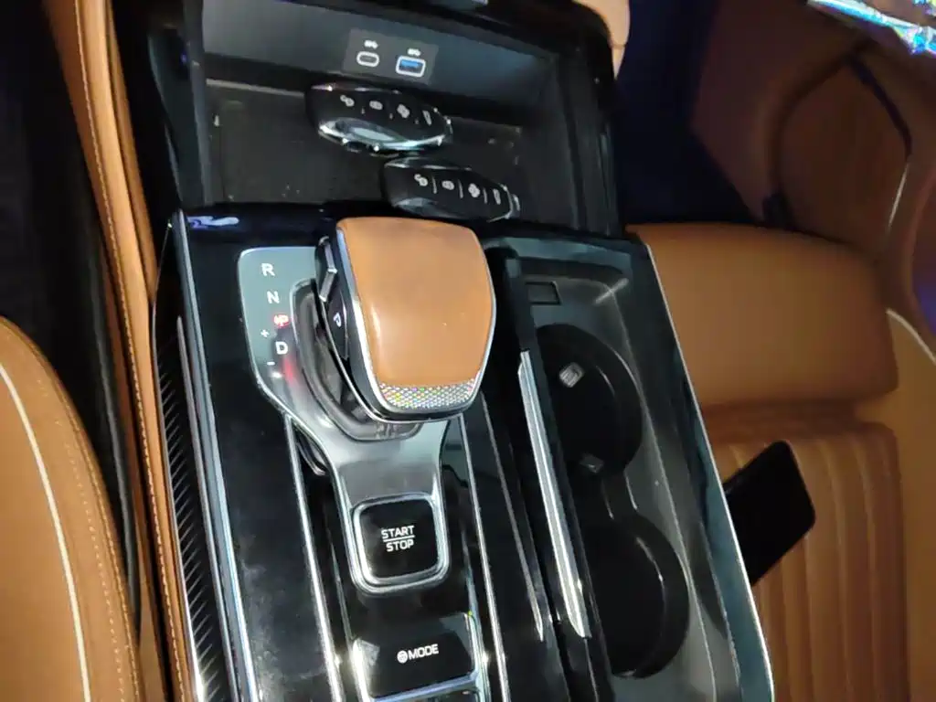 Photo 14 - Hongqi H9