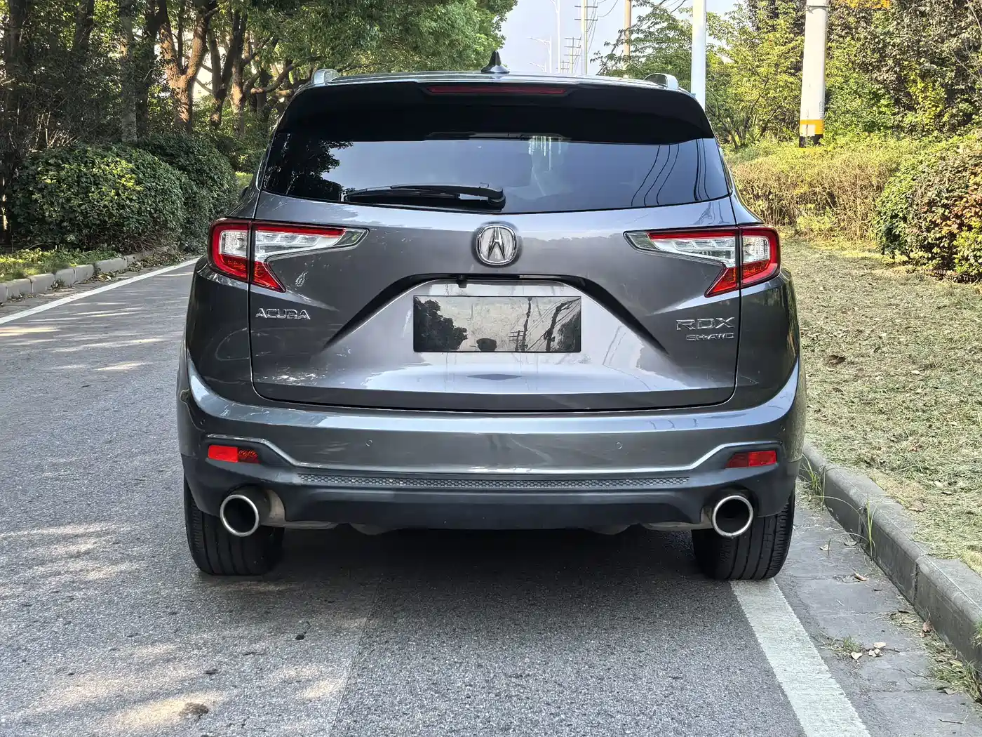 Acura RDX 2019 2019 2.0T Intelligent Edition SH-AWD China V